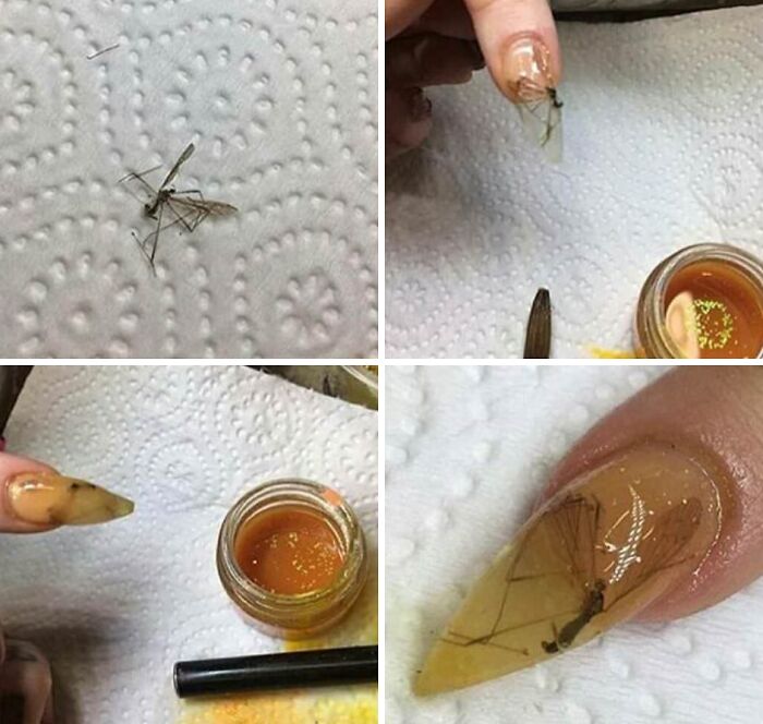 Steps of a bizarre DIY project embedding a d**d mosquito inside acrylic nail art.
