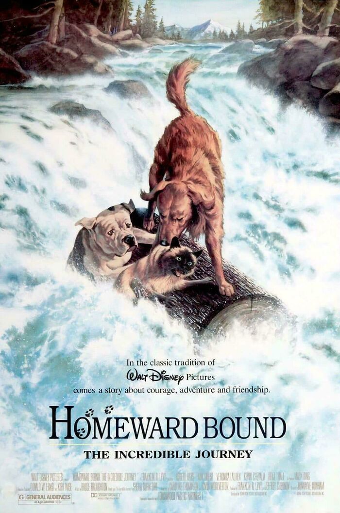 Homeward Bound: The Incredible Journey movie poster, bringing nostalgic memories to 90s kids