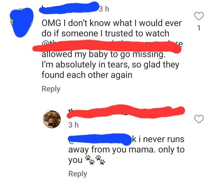 A cringe-worthy social media comment pretending to be a dog responding to its owner.