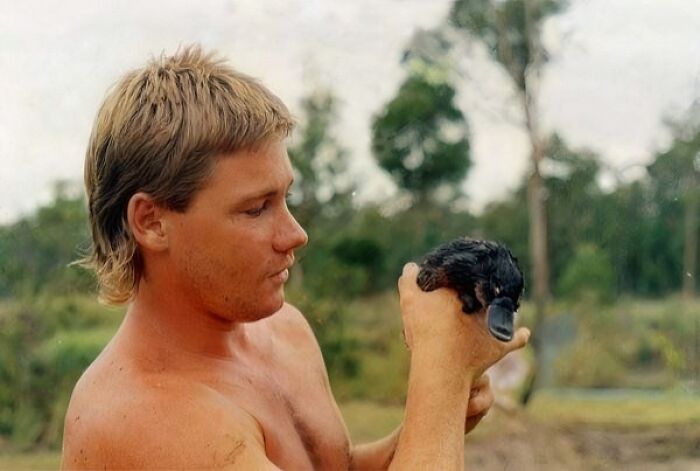 Steve Irwin With A Baby Platypus, 1980s