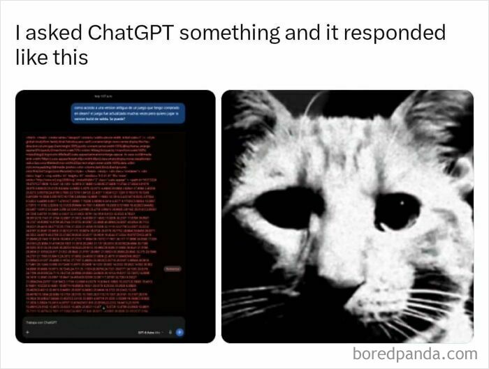 Creepy meme showing a dark cat face next to glitched ChatGPT code