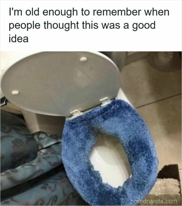 A nostalgic image of a blue carpeted toilet seat cover from the past.