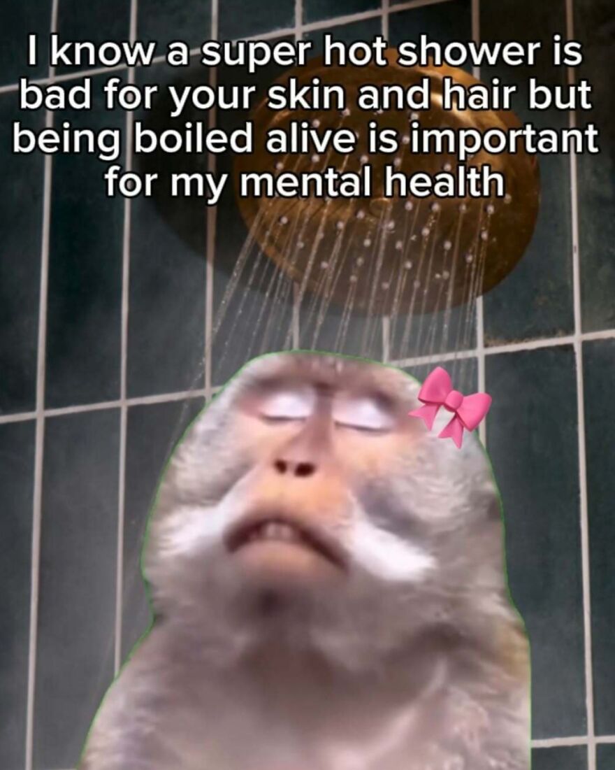 Spot-on memes featuring a monkey with a pink bow enjoying a hot shower.
