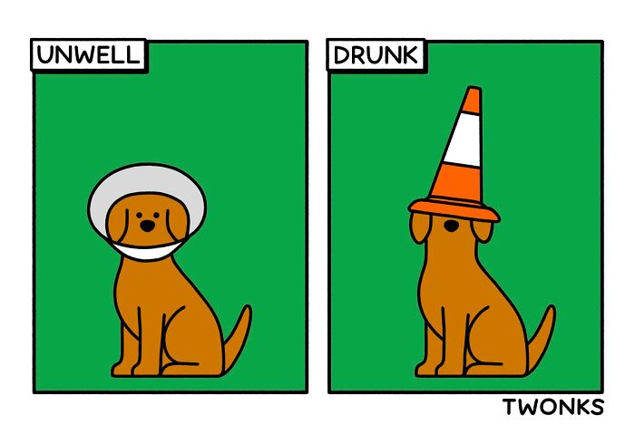 Funny comic by Steve Nelson comparing a dog wearing a cone to a dog with a traffic cone on its head.