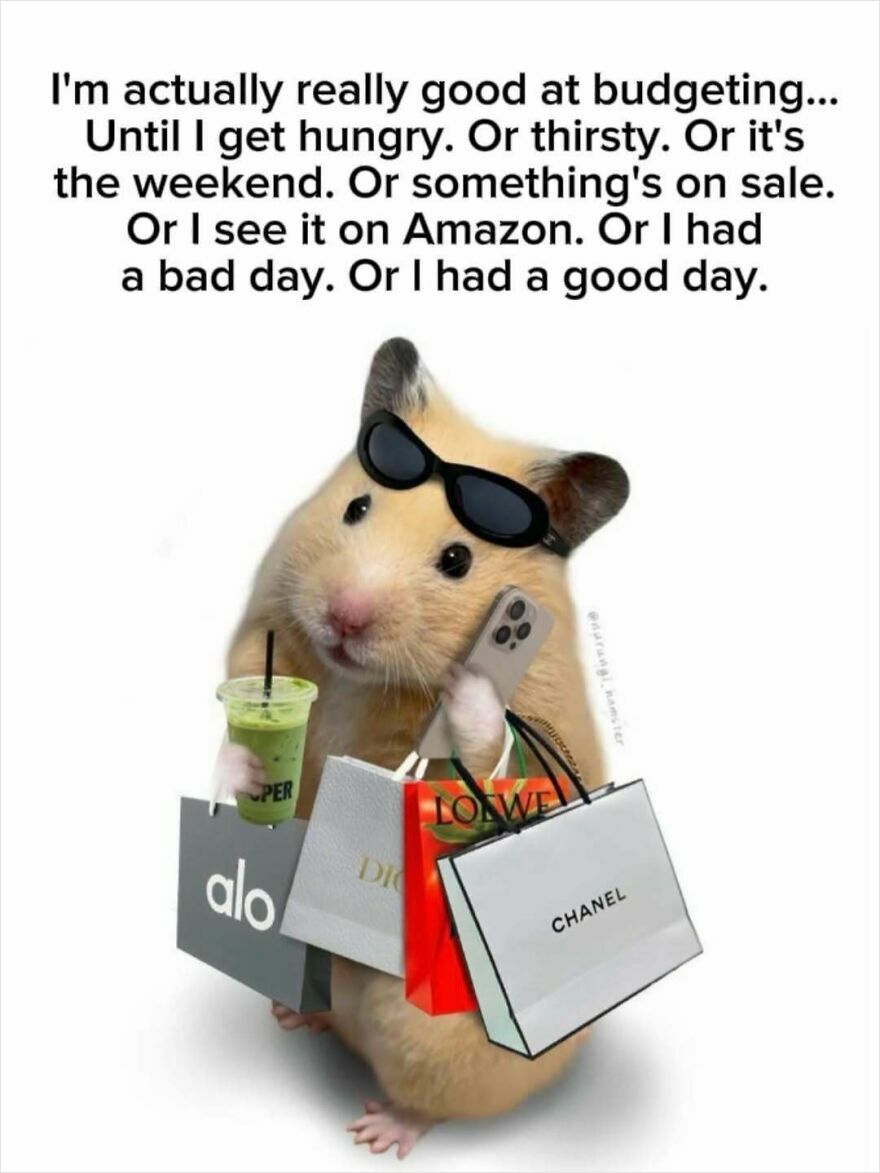 A hamster holding shopping bags and a phone in one of the spot-on memes about budgeting.