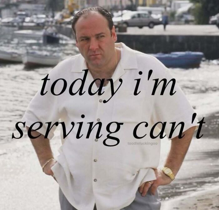 Meme featuring Tony Soprano with text about minor inconveniences and questioning everything