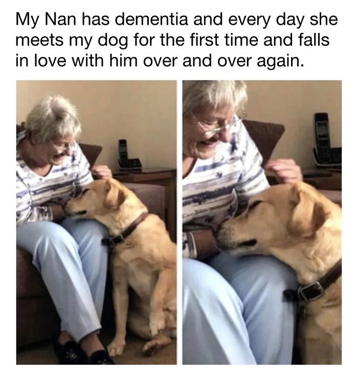 An elderly woman smiling and bonding with a gentle golden dog, cute dog memes