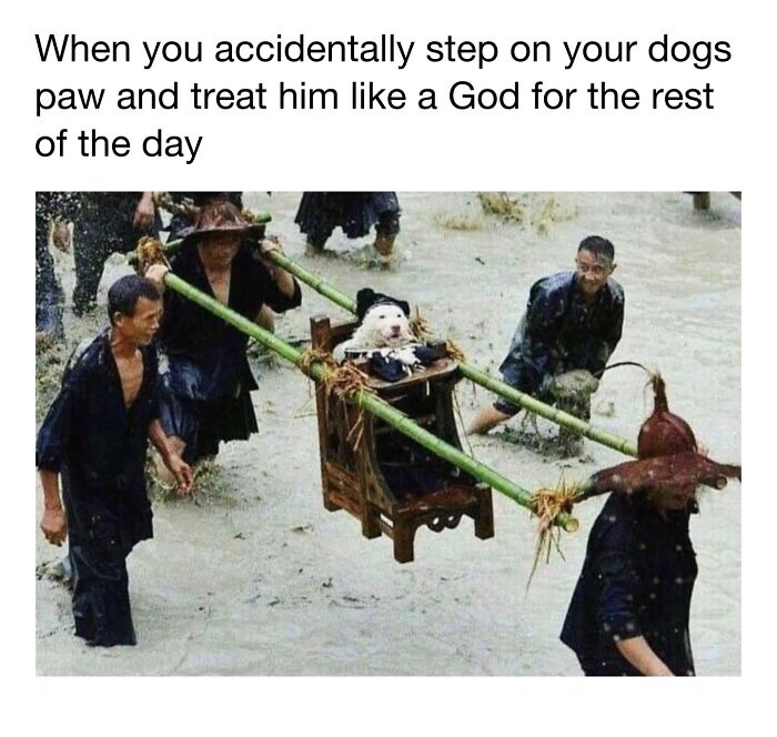 Dog memes depicting a dog being carried on a wooden sedan chair by people in the mud.