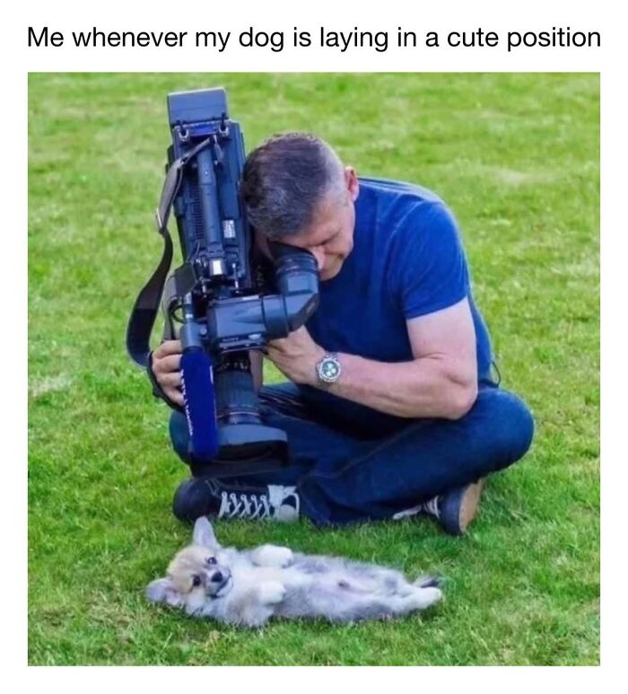 A photographer with a professional video camera filming a tiny puppy on the grass, cute dog memes