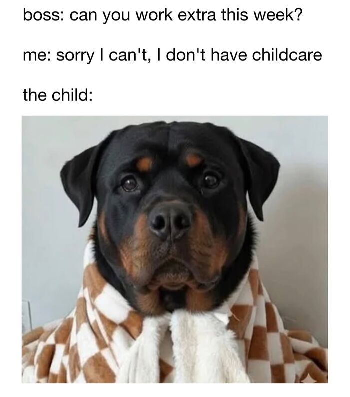 Cute dog meme featuring a serious Rottweiler wrapped in a blanket like a child.