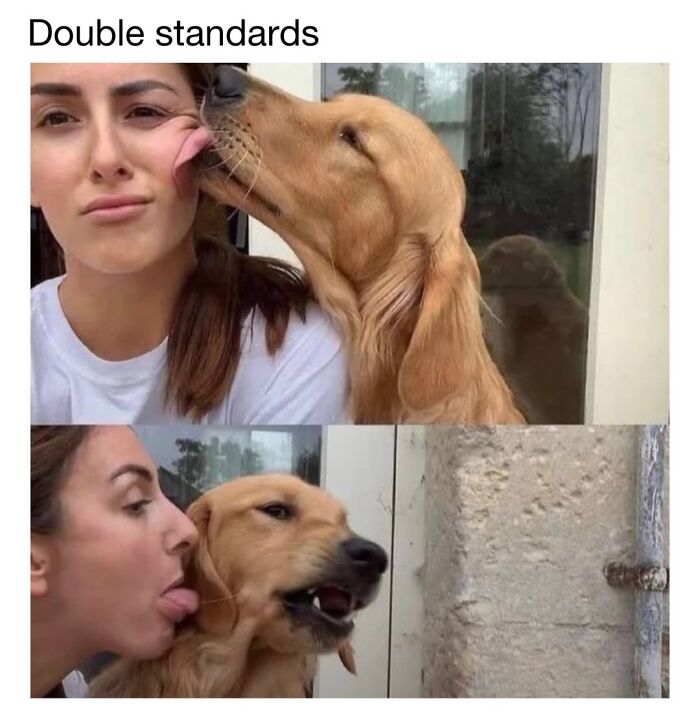 A funny comparison of a dog licking a woman and a woman licking her dog, perfect for cute dog memes.