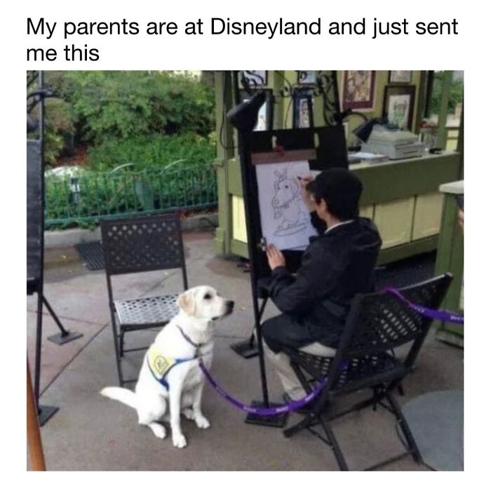 A service dog patiently sitting as an artist draws its portrait, featured in wholesome cute dog memes