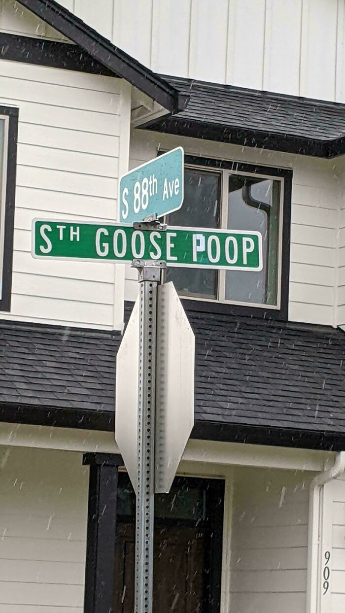 Clever vandalism on a street sign modified to read Goose P**p like a piece of public art.