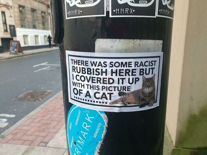Clever vandalism showing a sticker with a cat covering up graffiti on a street post.
