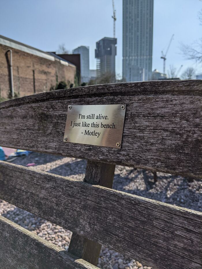 A humorous plaque acts of vandalism on a wooden park bench saying I am still alive