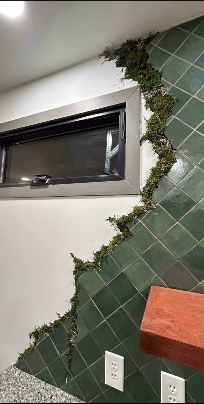 A home renovation attempt featuring green tiles and artificial moss on the wall.