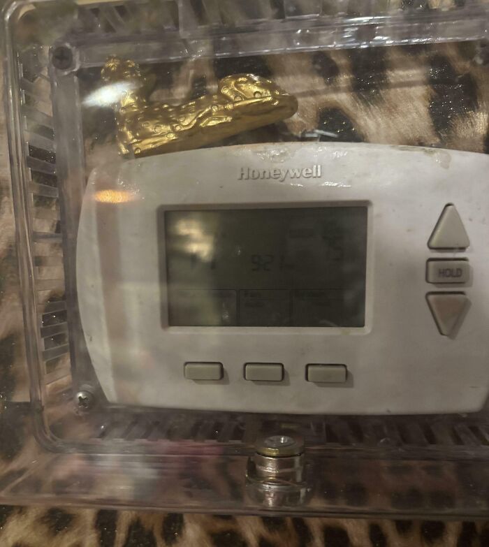 A locked thermostat covered with a plastic box from roommate stories