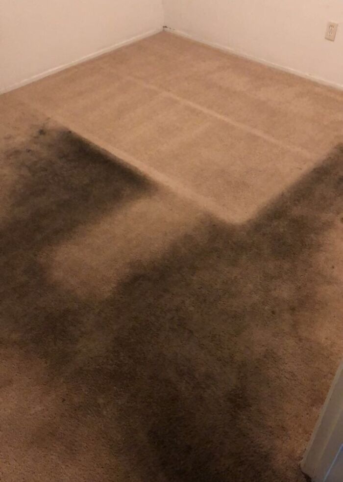 Extremely dirty and stained room carpet highlighting bad roommate stories