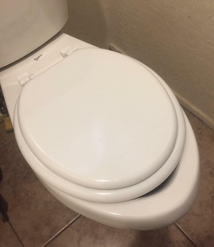 A toilet seat cover that is too small for the toilet bowl, highlighting annoying roommate stories.