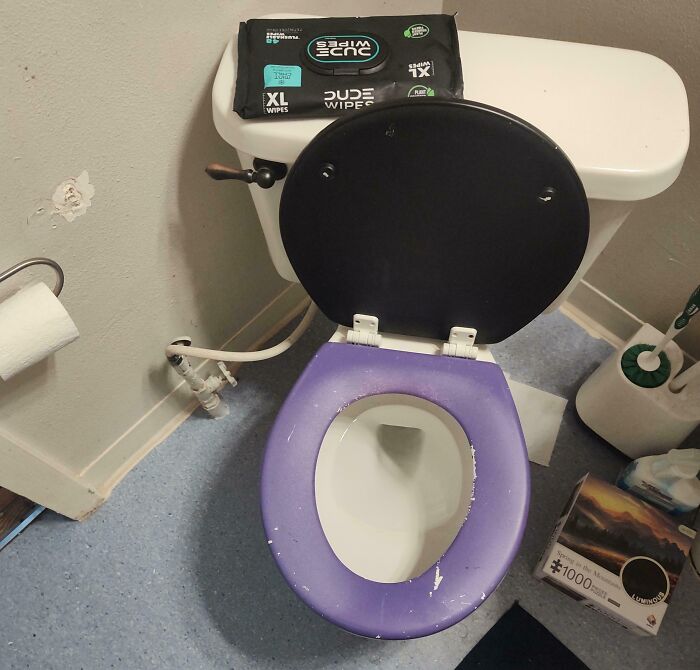 An open toilet with Dude Wipes on top of the tank, showing roommate stories.