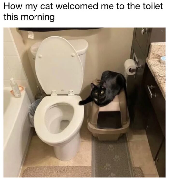 30 Hilarious Cat Memes From ‘Sovjet Cats’ That Perfectly Capture Feline Logic