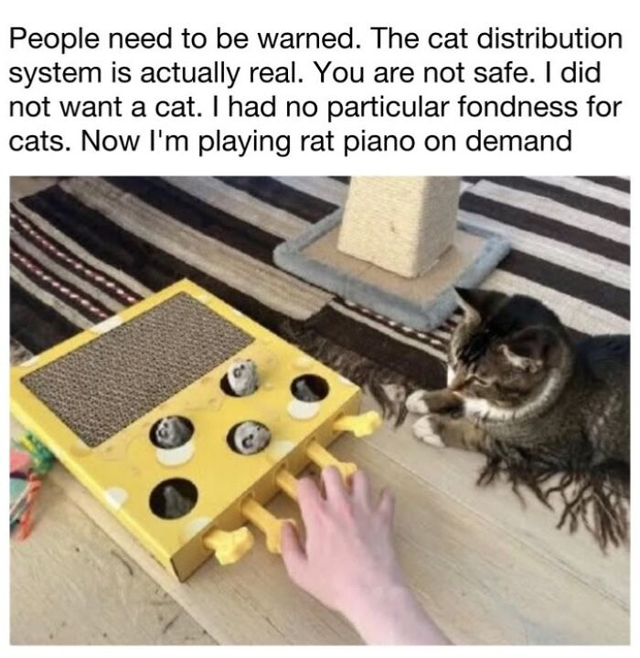 30 Hilarious Cat Memes From ‘Sovjet Cats’ That Perfectly Capture Feline Logic