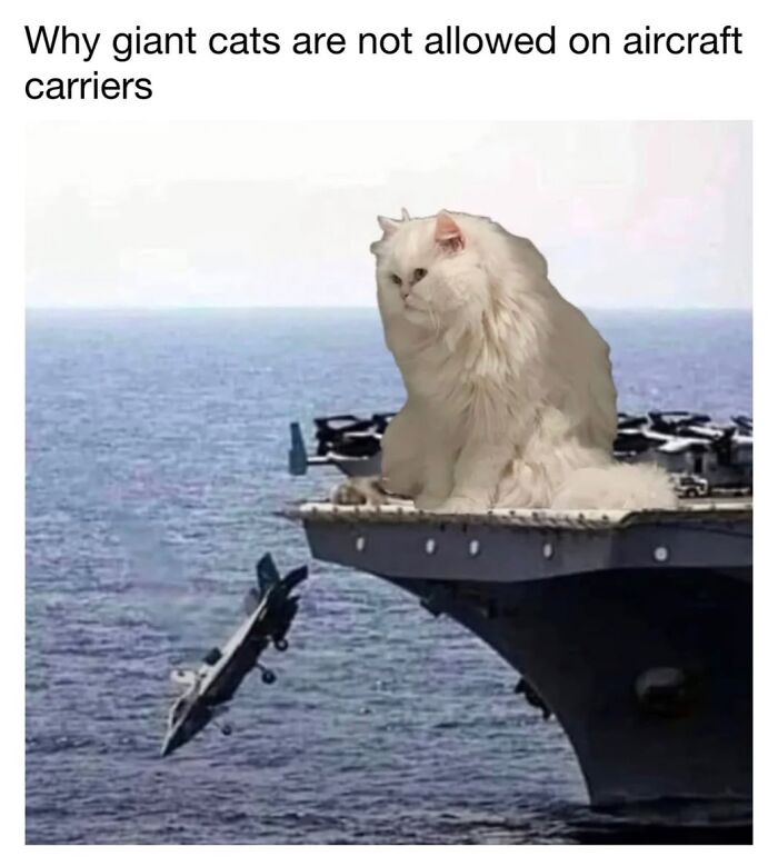 30 Hilarious Cat Memes From ‘Sovjet Cats’ That Perfectly Capture Feline Logic