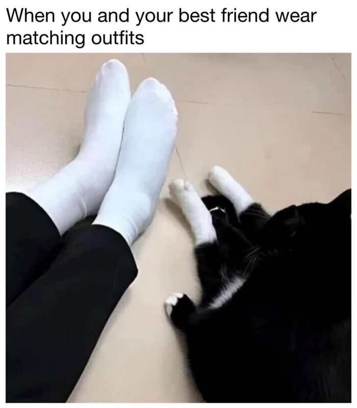 30 Hilarious Cat Memes From ‘Sovjet Cats’ That Perfectly Capture Feline Logic