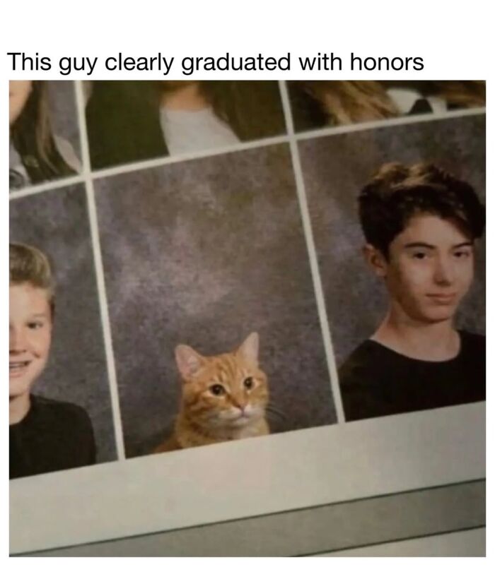 30 Hilarious Cat Memes From ‘Sovjet Cats’ That Perfectly Capture Feline Logic