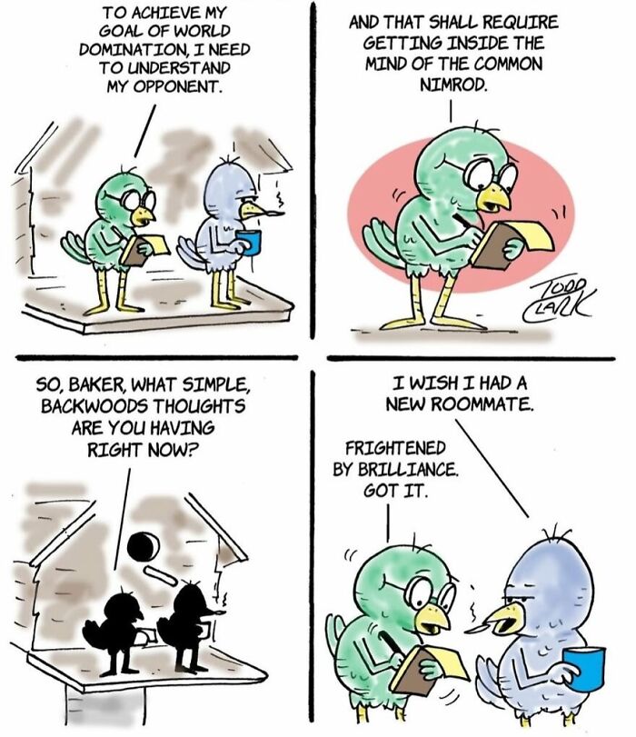 These Two Birds Have An Opinion About Everything, And Their Conversations Are Hilarious (25 Comics)