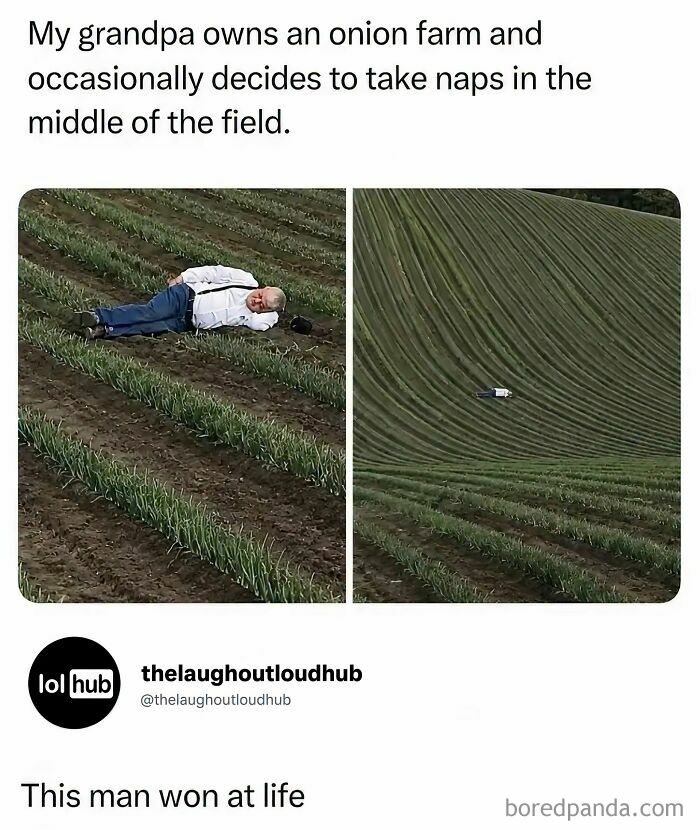 An old man lying down on a massive green onion farm, featured in edgy memes.