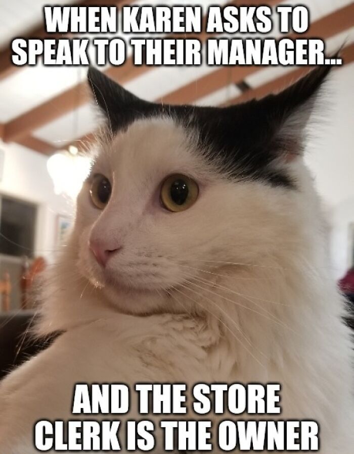Meme featuring a cat expressing the shock when a Karen asks to speak to the manager but the clerk is the owner.