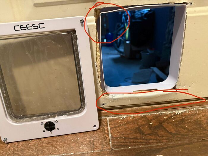 A poorly installed cat door that does not fit its cutout, illustrating questionable decisions.