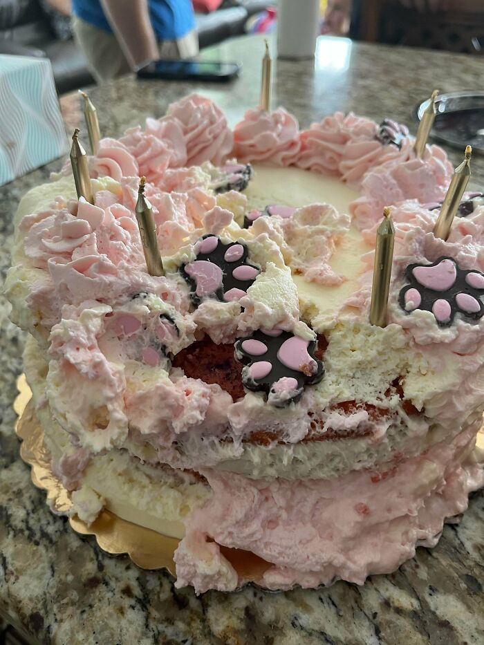 A poorly decorated pink birthday cake with dog paw prints, representing questionable decisions.