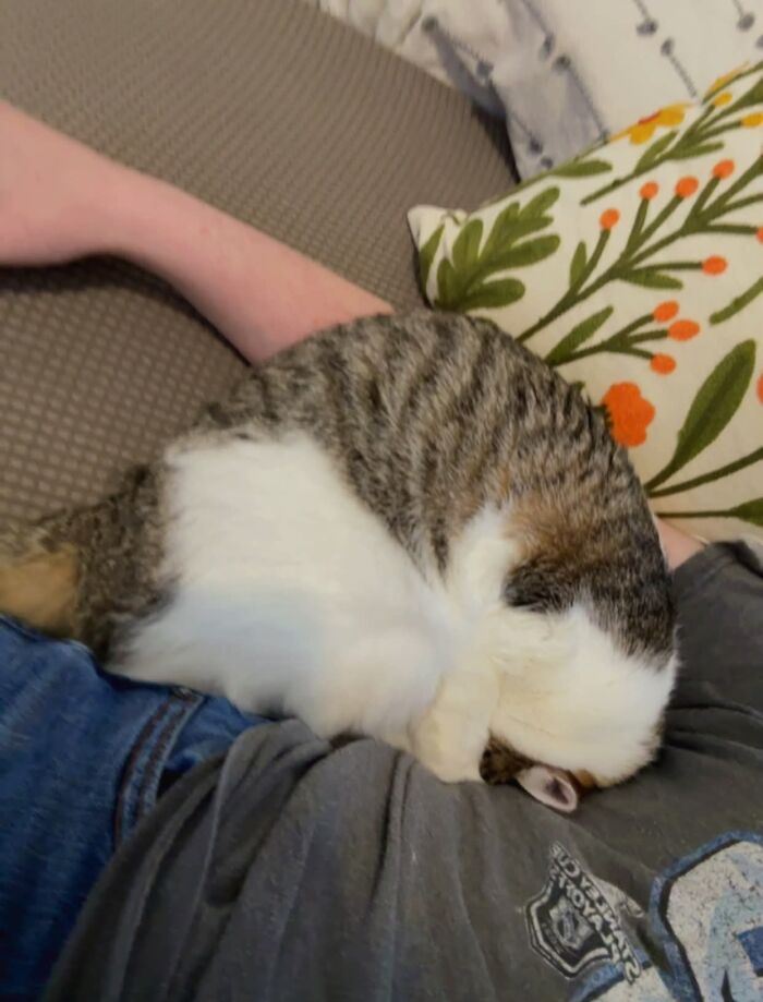 My Name Is Whimsy And I Was Made For This Request