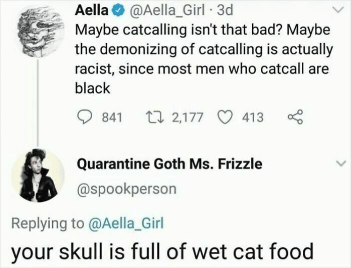 A Twitter exchange showing a funny and oddly accurate insult about a skull being full of wet cat food.