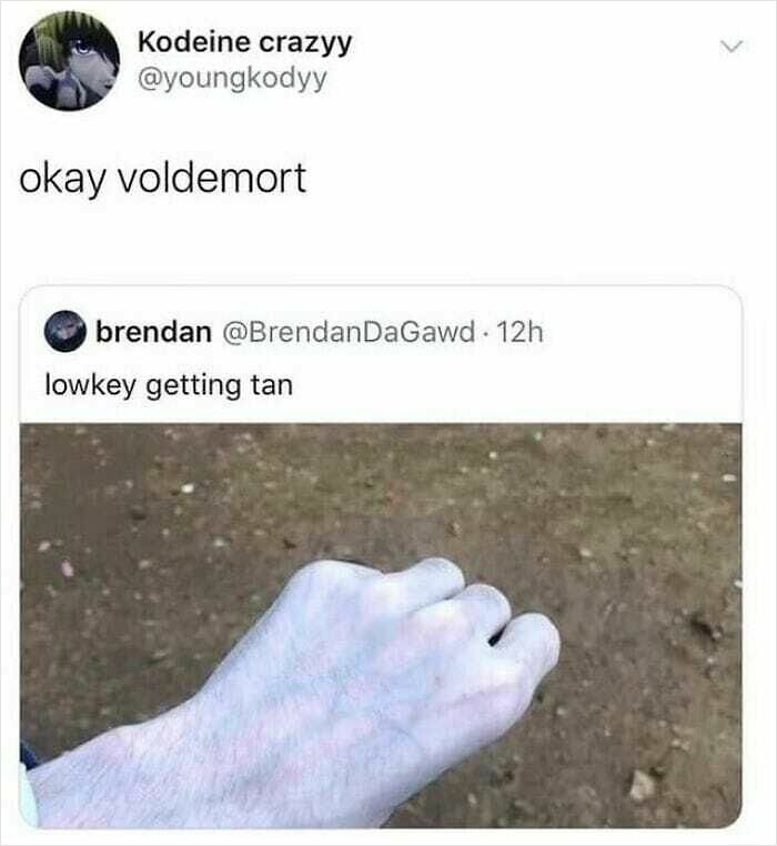 A social media post with a funny and oddly accurate insult comparing a pale hand to Voldemort.