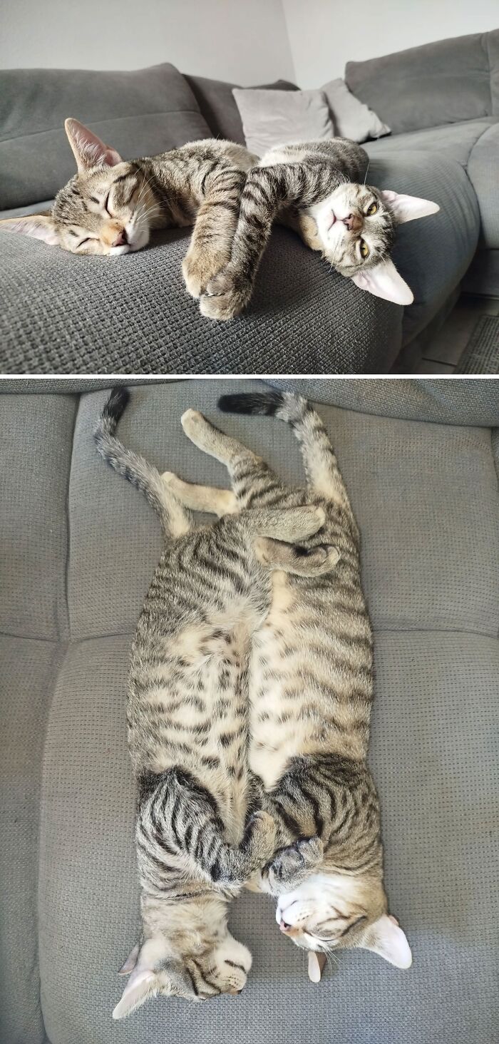 Hector And Reggie
