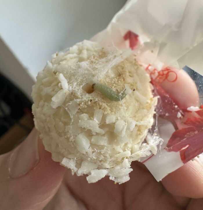 Green worm on a white coconut ball dessert, showing questionable quality control