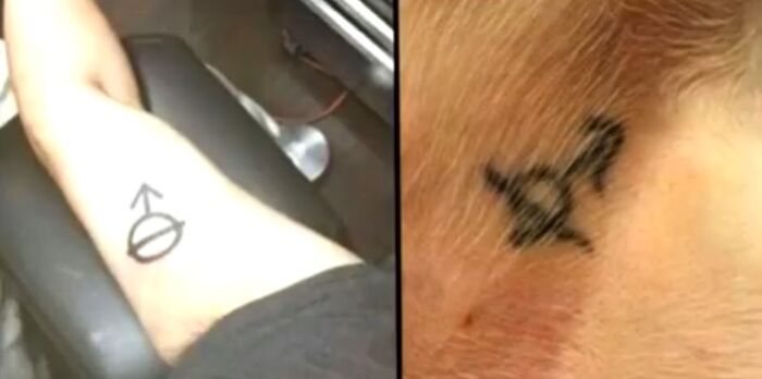 Side-by-side questionable decisions showing a human arm tattoo next to a matching branded dog tattoo
