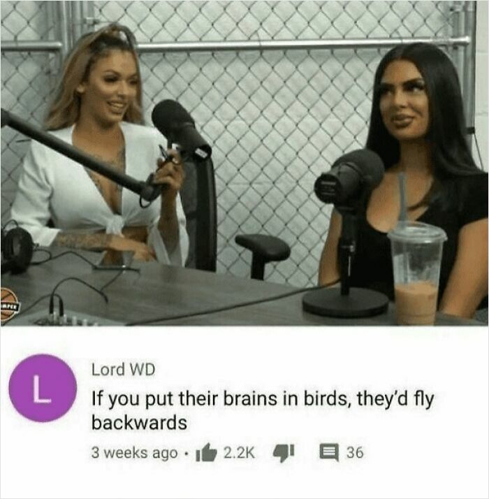 Two women on a podcast with funny and oddly accurate insults comment about their intelligence.