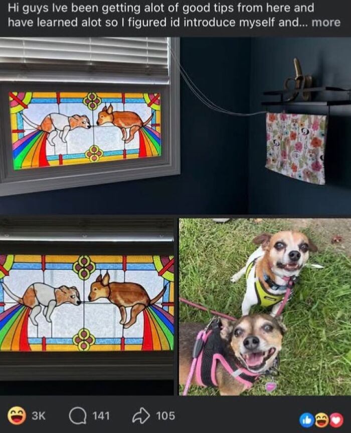 Funny stained glass window art projects showing two dogs farting rainbows