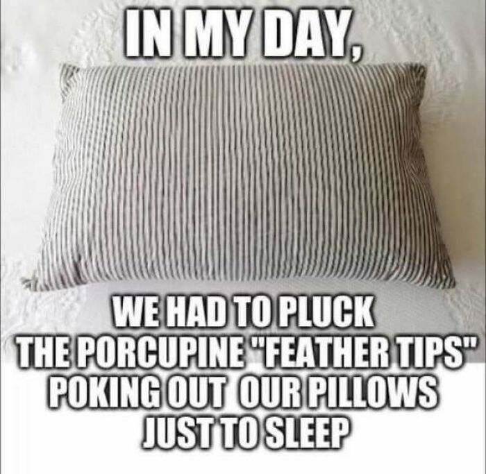 Funny nostalgic meme about plucking feather tips from 1970s pillows