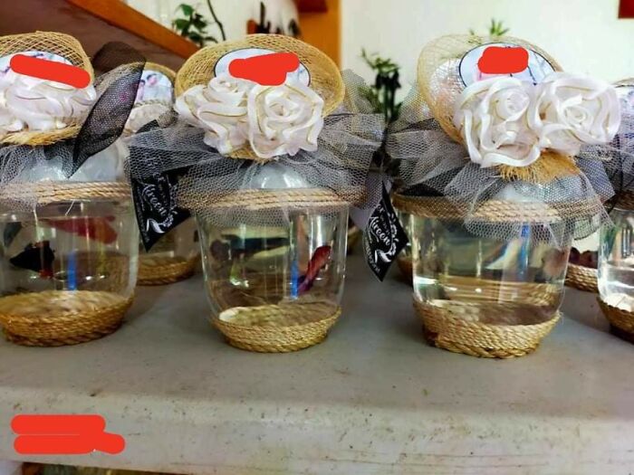 Tiny fish in small decorated jars used as party favors, representing questionable wedding moments.