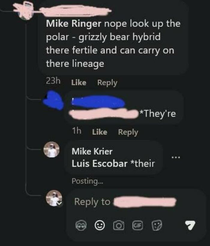 An online debate where people corrected someone incorrectly regarding grammar