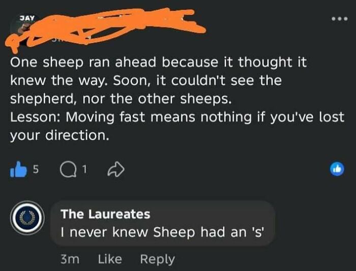 A social media post using the incorrect word sheeps, corrected by a commenter