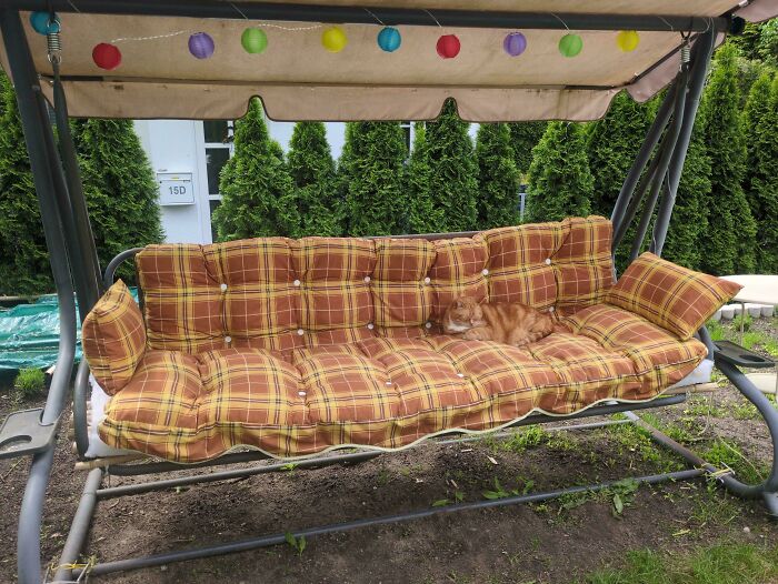 An orange tabby cat sleeping on a matching plaid swing cushion, demonstrating accidental camouflage.