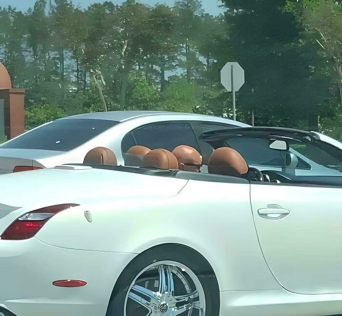A bald head perfectly matching car seat headrests creating accidental camouflage