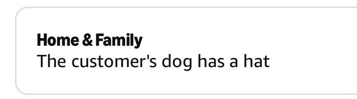 Amazon shopper's dog has a hat observation