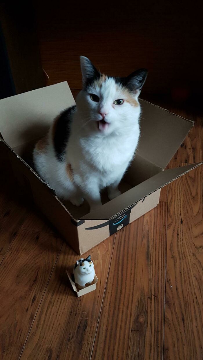 A calico cat sitting in a cardboard box next to a miniature 3D printer model of itself.